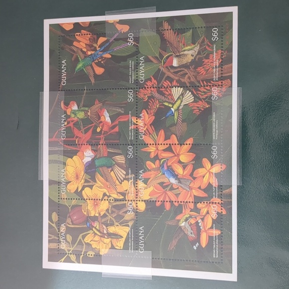 Hummingbirds of Guyana Home Design Stamp Set - Picture 3 of 3